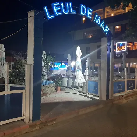 Leul De Mare